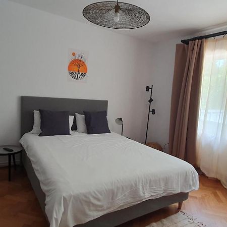The Pines Serviced Apartments Braşov Exteriör bild