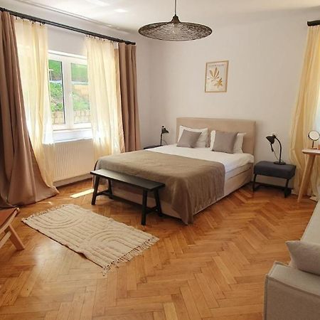 The Pines Serviced Apartments Braşov Exteriör bild