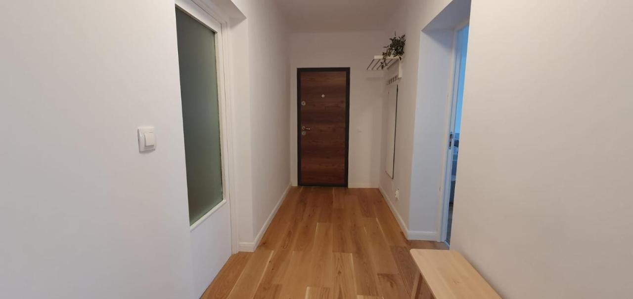 The Pines Serviced Apartments Braşov Exteriör bild