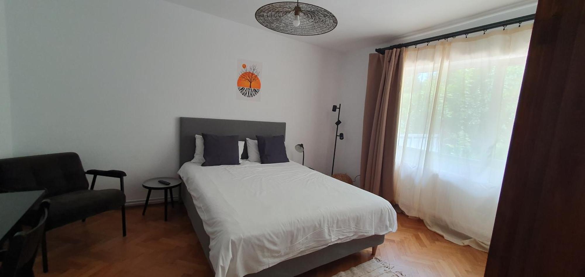 The Pines Serviced Apartments Braşov Exteriör bild